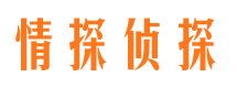 方山婚外情调查取证